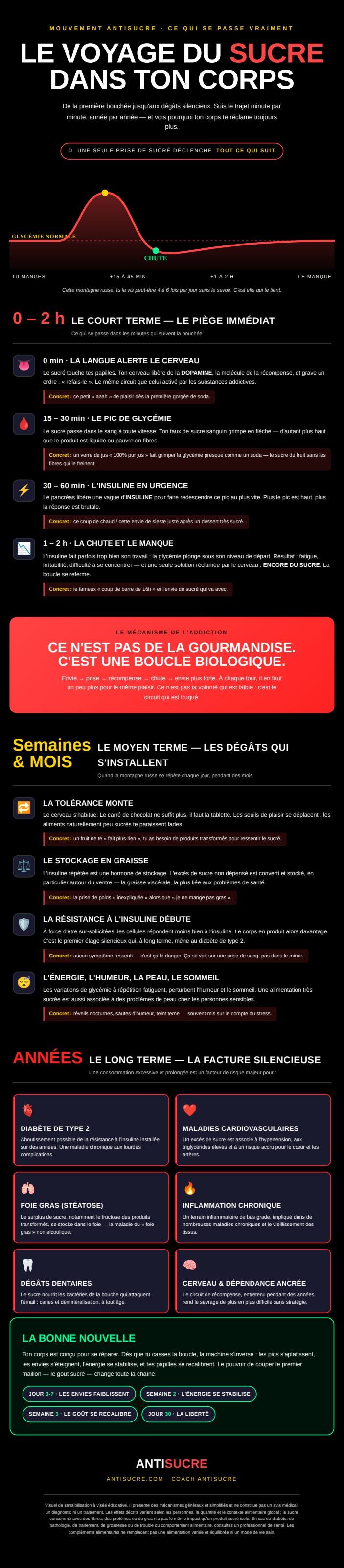 Infographie Le voyage du sucre dans ton corps : de la première bouchée aux dégâts silencieux, minute par minute, année par année